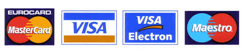 visa logo